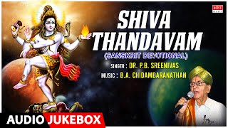 Shiva Thandavam  Dr PB Sreenivas BA Chidambaranathan CS Nair  Sanskrit Devotionl Song [upl. by Enuahs943]