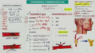 Neurología  Enfermedad cerebrovascular [upl. by Samale]