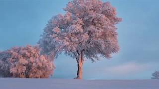 Snow Frolic  Piano 러브 스토리 Ost 중에서 [upl. by Boy]