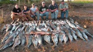 Bowfishing for Giant Bighead Carp in Kentucky [upl. by Aneehsyt676]