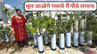 खेत नहीं मिला तो PVC PIPE में खेत जितनी सब्जी उगा रही हूं भूल जाओ गे गमलो मैं पौधे लगाना [upl. by Nirret]