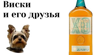 Дегустация Tullamore Dew XO Caribbean Rum [upl. by Akinad]