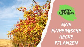 Ein einheimische Hecke pflanzen  Gartenexpedition naturgarten [upl. by Olatha]