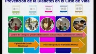 Modelo de prevención en diabetes mellitus PREVENIMSS  P2 [upl. by Adrahs]