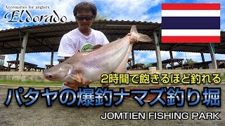 2時間で飽きるほどオオナマズが釣れるパタヤの釣り掘 – JOMTIEN FISHING PARK [upl. by Williamsen]