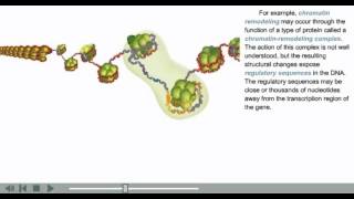 DNA Packaging Animation  chromatin histone and nucleosome modifications [upl. by Vernita]