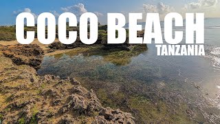 quotDiscover Coco Beach Dar es Salaams Coastal Gemquot [upl. by Eillek]