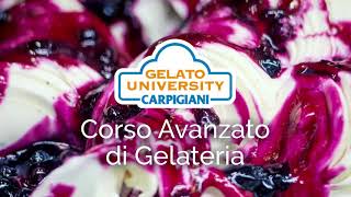 Corso Avanzato di Gelateria  Carpigiani Gelato University [upl. by Warp]