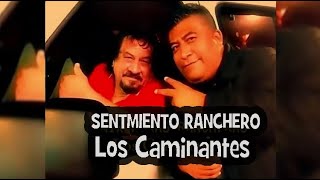 LOS CAMINANTES MIX RANCHERAS [upl. by Lewej]