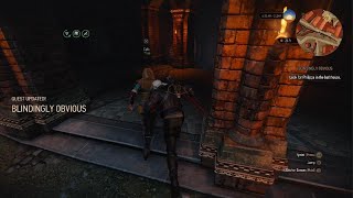 The Witcher 3 Wild HuntBlindingly Obvious [upl. by Esenahs]