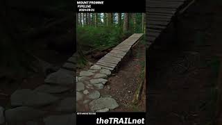 Mount Fromme Trail Pipeline mtb mountainbike mtblife [upl. by Care]