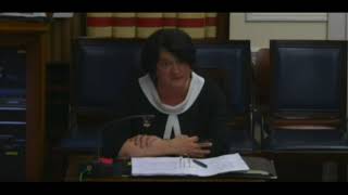 Arlene Foster addresses NI Assembly Executive Office Committee [upl. by Conard]