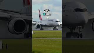 Pilot JUMPS OUT Of Plane MIDFLIGHT 😨 plane planes aviation avgeek aviationlovers aircraft [upl. by Ahsenit]