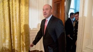 Gary Cohn takes on Trump administration over Charlottesville [upl. by Astiram]