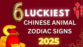 6 Luckiest Chinese Animal Zodiac Signs in 2025 [upl. by Huang365]