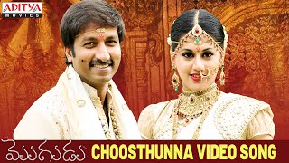 Choosthunna Song  Mogudu Video Songs  Gopichand Taapsee [upl. by Artemahs]