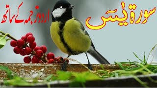 Surah Yaseen Full With Urdu Translation  Qari abdul basit abdul samad  surah yasin [upl. by Annenn]