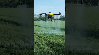 अब इंडिया के खेतों में भी ड्रोन का उपयोग 🍓 Agriculture Drone in India drone [upl. by Day138]