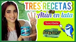 Tres RECETAS con ATÚN en LATA   muy fáciles [upl. by Ethelred]