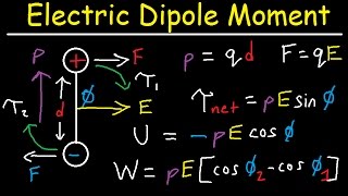 Electric Dipole Moment Force Torque Potential Energy Work Electric Field Physics [upl. by Atolrac]