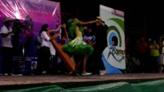 BAILE DE JOROPO ganadores reyes del joropo 2010 arauca [upl. by Nodanrb]