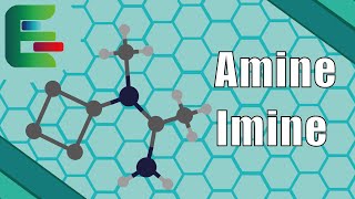 Amine Imine amp NSubstitution  Wie benennt man Stickstoffverbindungen richtig [upl. by Vito]