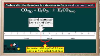 WCLN  Metal and nonmetal oxides [upl. by Iror]