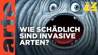 Sind invasive Arten besser als ihr Ruf  42  Die Antwort auf fast alles  ARTE [upl. by Nivlac258]