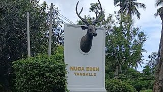 Nuga Eden Tangalle  Hotels in Sri Lanka  Santhosh Rupert [upl. by Allmon]