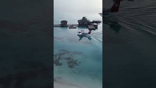 hydroplane  landing  maldives  cocoon drone [upl. by Armilla669]