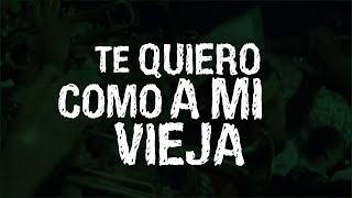 Los Del Sur  Te Quiero Como a Mi Vieja Lyric Video [upl. by Ysiad]