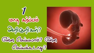 Know your pregnancy Four to six months  Doctor Naanga Eppadi Irukanum  News7 Tamil [upl. by Ahso250]