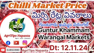 Chilli Price Dt121124 in Guntur Khammam Warangal Markets మిర్చిరేట్లు గుంటూరు chillirates [upl. by Othello]