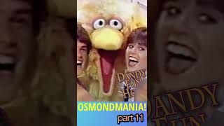 OSMONDMANIA pt 11  DONNY AND MARIE TAKE OVER THE WORLD donnyandmarie donnyosmond marieosmond [upl. by Egap569]