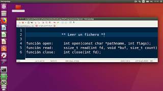 Leer fichero C linux open read  close [upl. by Shandy]