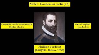 Phillipe Verdelot 147080  Before 1552  Motet  Gaudent in coelis a 8 [upl. by Necyla]