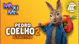 Chamada do filme quotPedro Coelho 2 O Fugitivoquot na Temperatura Máxima 31032024 [upl. by Yelats]