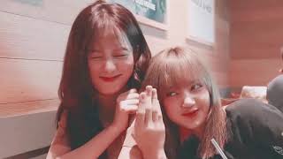 ✗ blackpink  true Love friendship goals [upl. by Nai]