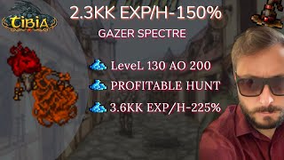 Tibia Hunt Lvl 130200 Guia  Gazer Spectre Hunt  Guia Completo  23kkEXPh [upl. by Gladdy955]