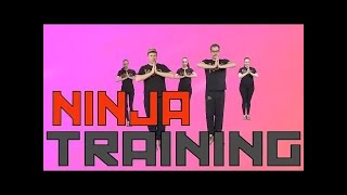 Koo Koo Kanga Roo  Ninja Training [upl. by Enirehtacyram]