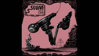 SEUM  Live at CJLO 2024 [upl. by Aiekahs]