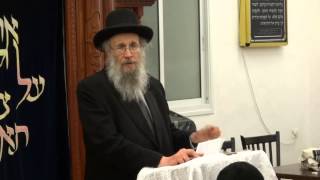 HaRav Yehoshua Eichenstein Delivers Hespedim for HaRav Neuwirth ZTquotL HD [upl. by Nwahs]