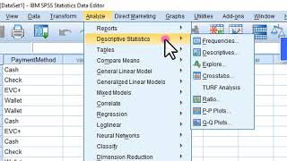 Count amp Percent Count in SPSS AfSomali [upl. by Meekyh]