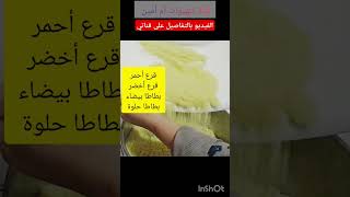 Couscous international music اكسبلور explore طبخ travel food [upl. by Schnabel233]