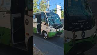 Buses Buin y Maipo  Marcopolo Senior G7 Mk1 pasando por el camino BuinMaipo [upl. by Wyn427]