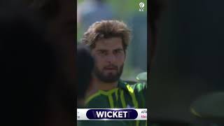 Shaheen Afridi doing what he does best 😎 ytshorts cricket cricketshorts [upl. by Anele]