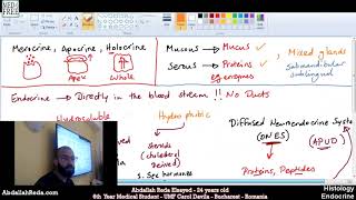 الجهاز العصبي الغددي المنتشر Diffused Neuroendocrine system DNES  عبد الله رضا MD [upl. by Andonis]