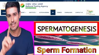 The ULTIMATE Guide to Spermatogenesis  How Your Boys Are Made [upl. by Faria]