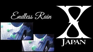 quotEndless Rainquot by X Japan as a Harp Duet [upl. by Yukio34]