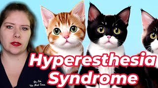 Vet Advice on Identifying and Treating Feline Hyperesthesia Syndrome [upl. by Alyhs]